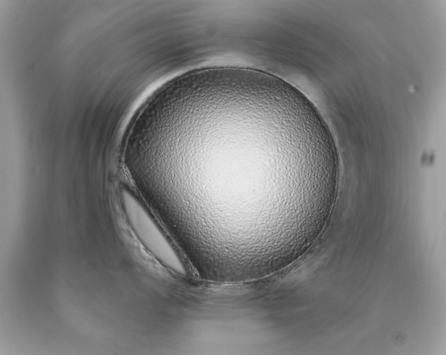 X0000090461008200707272233