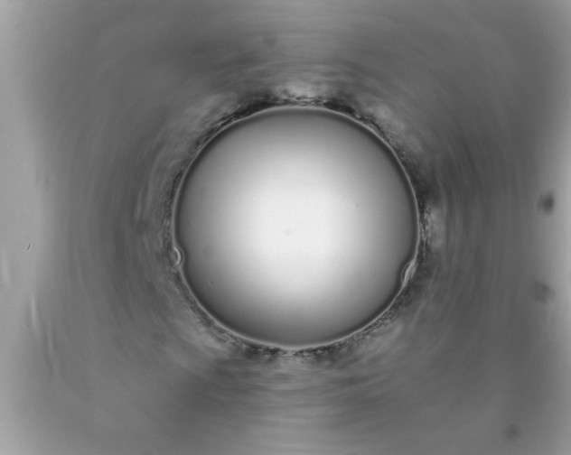 X0000090461009200707272232