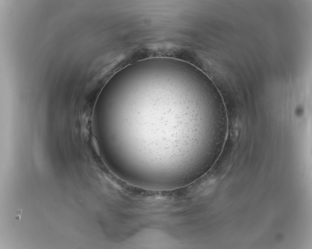 X0000090461010200707272232