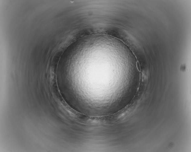 X0000090461011200707272232
