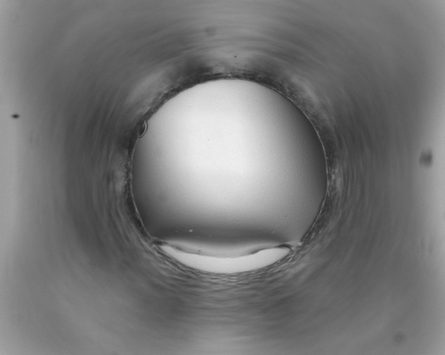 X0000090461012200707272232