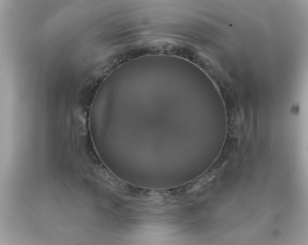 X0000090461013200707272232
