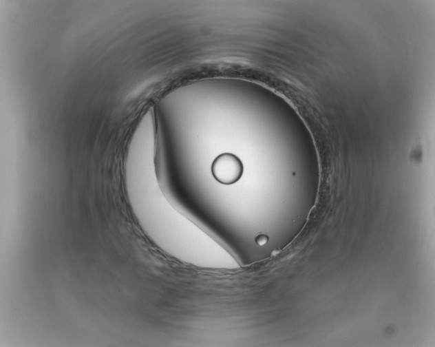 X0000090461014200707272232