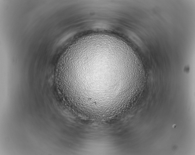 X0000090461015200707272232