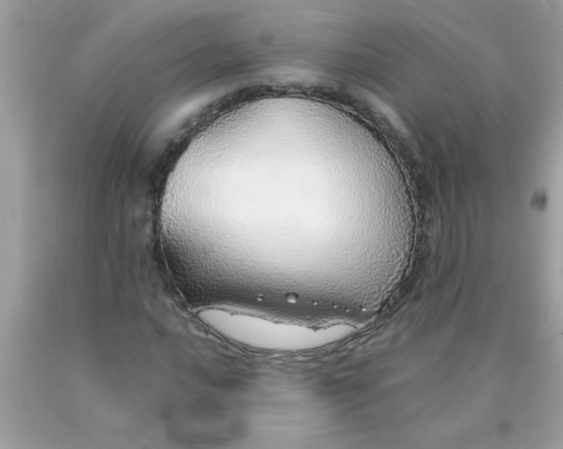 X0000090461016200707272232