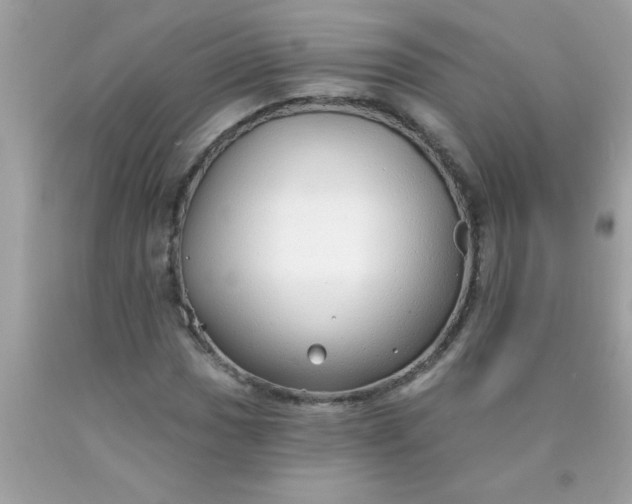 X0000090461017200707272232