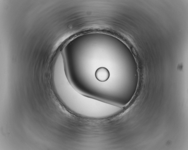 X0000090461018200707272232