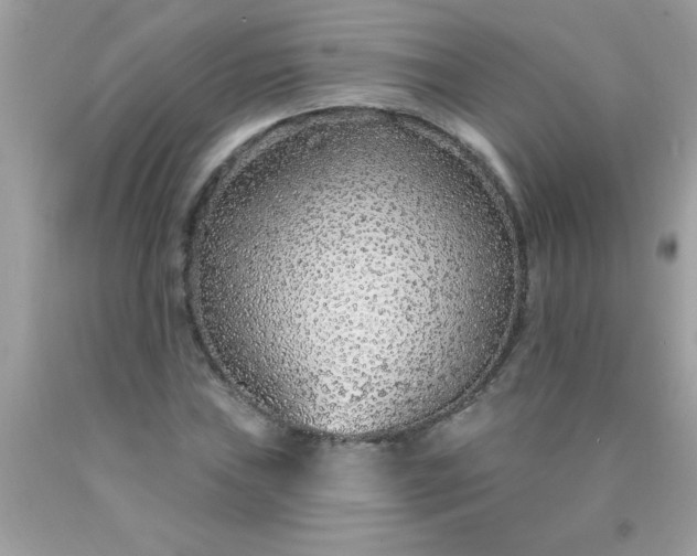 X0000090461019200707272232