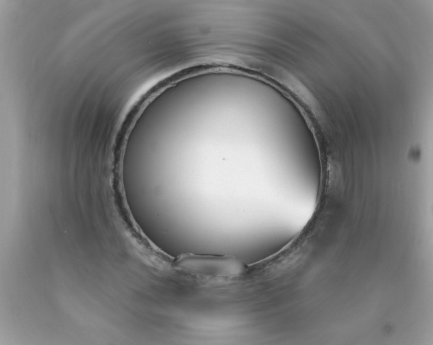 X0000090461020200707272232
