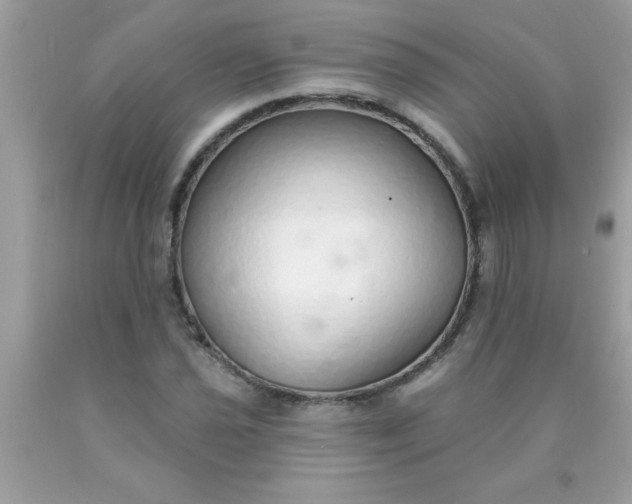 X0000090461021200707272232
