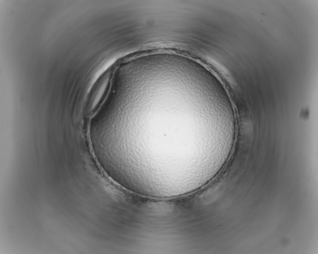 X0000090461023200707272232