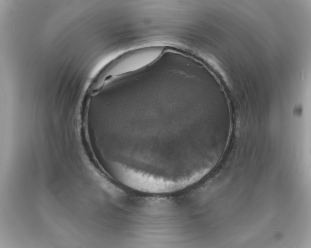 X0000090461024200707272232