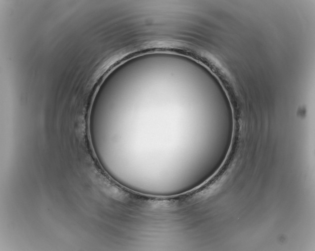 X0000090461025200707272232
