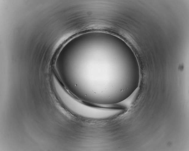 X0000090461026200707272232