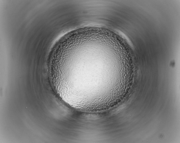 X0000090461027200707272232