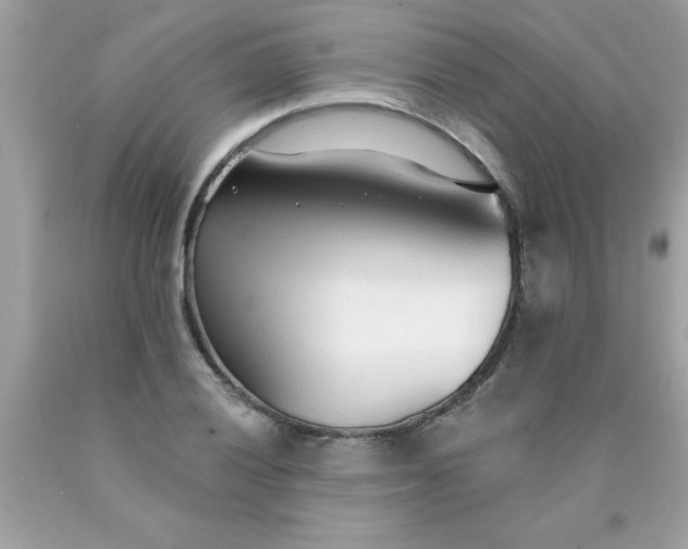 X0000090461028200707272232