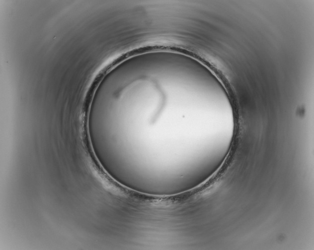 X0000090461029200707272232