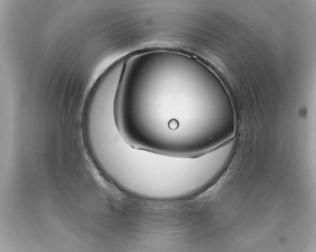 X0000090461030200707272232
