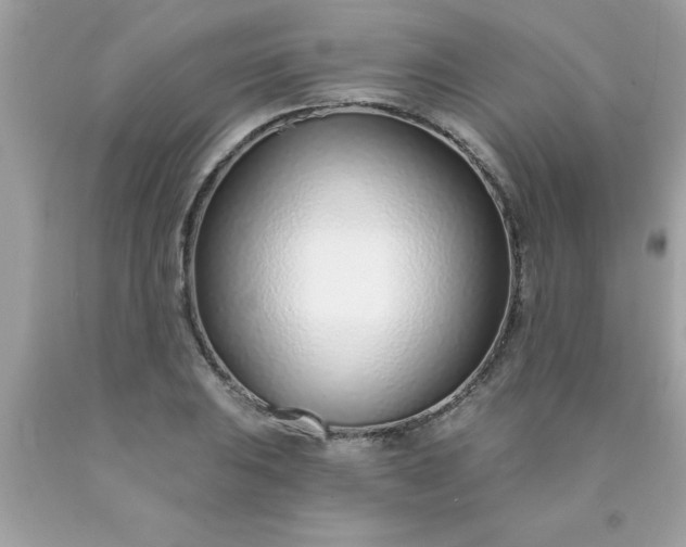 X0000090461031200707272232