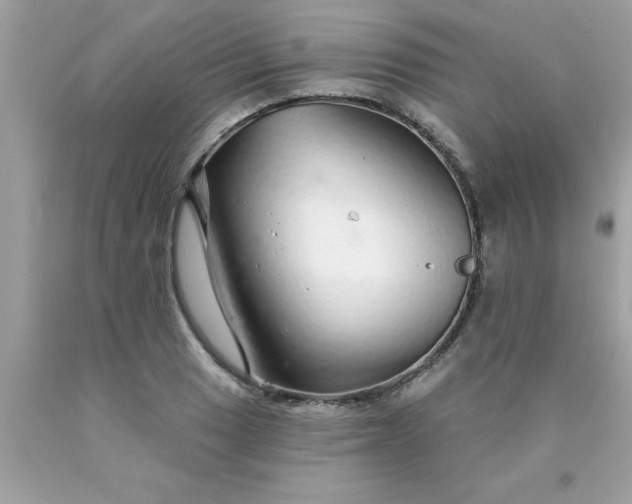 X0000090461033200707272232