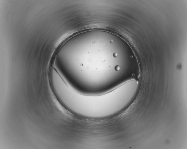 X0000090461034200707272232