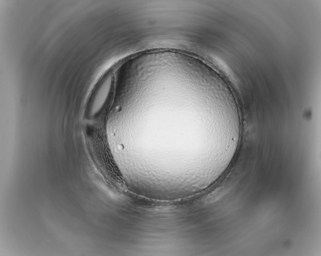 X0000090461035200707272232