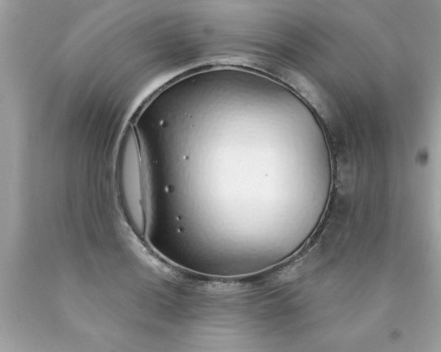 X0000090461036200707272232