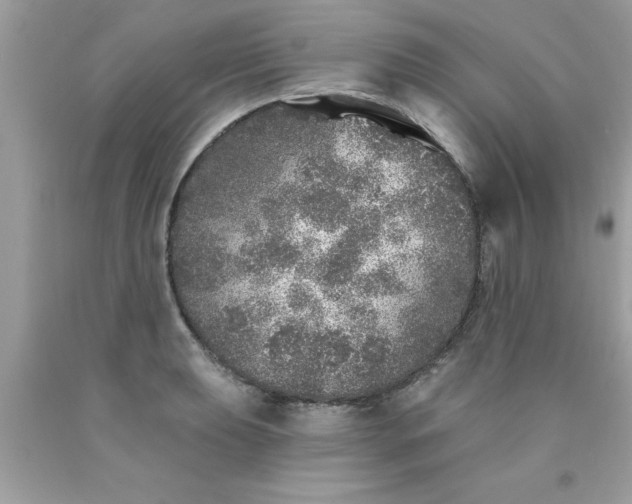 X0000090461039200707272232