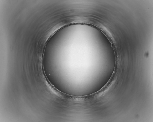 X0000090461041200707272232