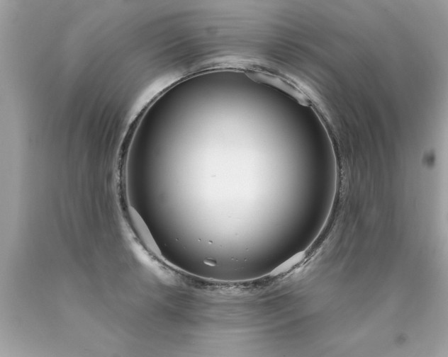 X0000090461042200707272232
