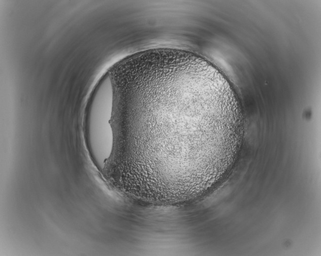 X0000090461043200707272232