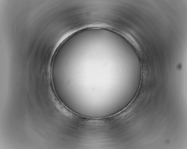 X0000090461044200707272232