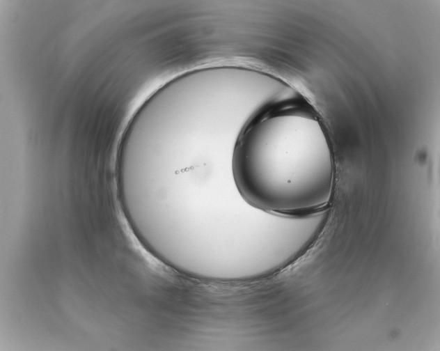X0000090461046200707272232