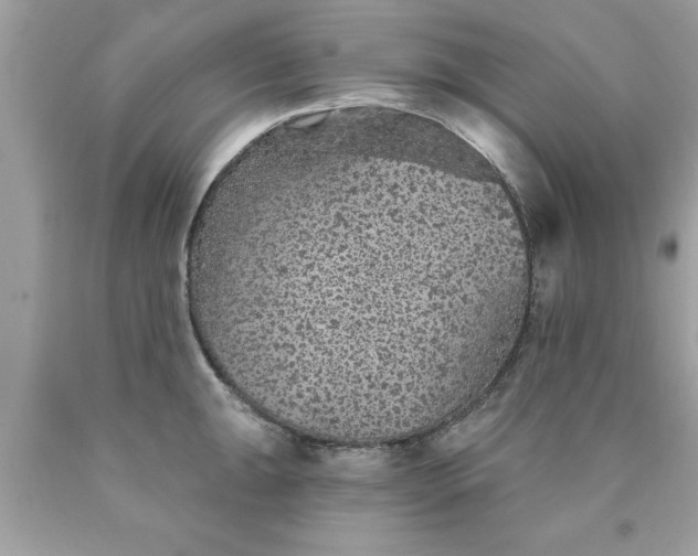 X0000090461047200707272232