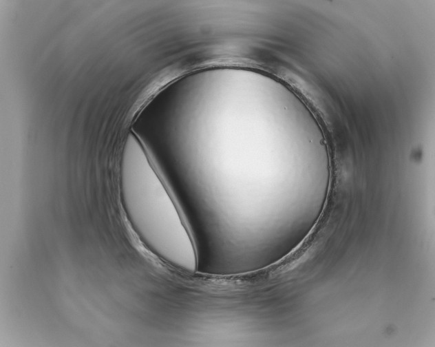 X0000090461049200707272232