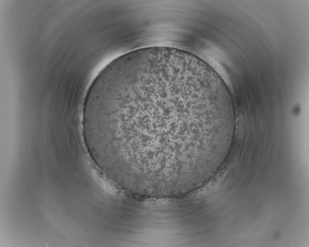 X0000090461051200707272232