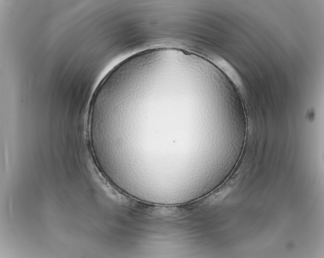 X0000090461052200707272232