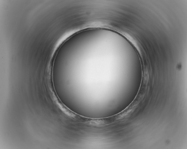 X0000090461053200707272233