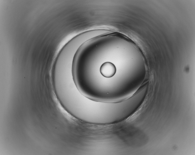 X0000090461054200707272233