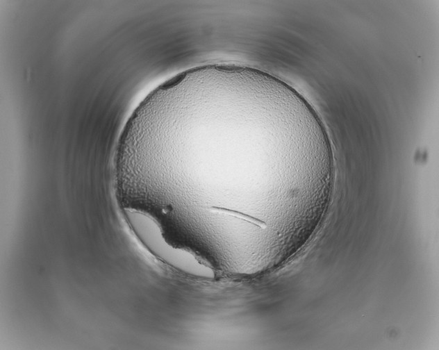 X0000090461056200707272233