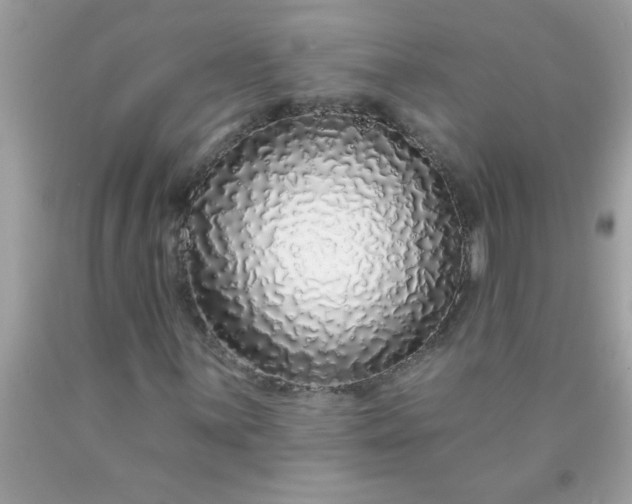 X0000090461059200707272232