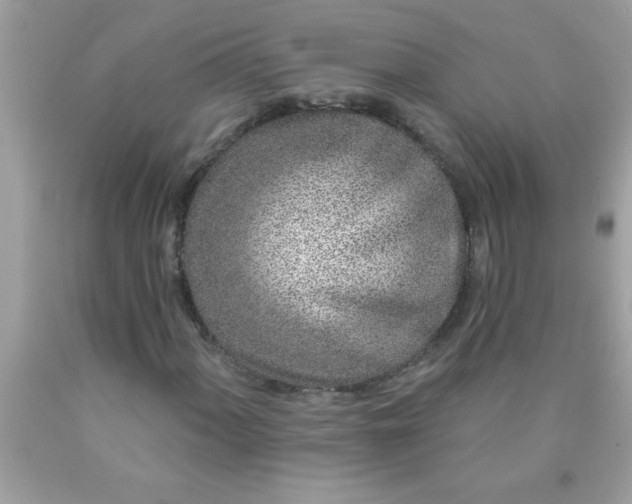 X0000090461060200707272232