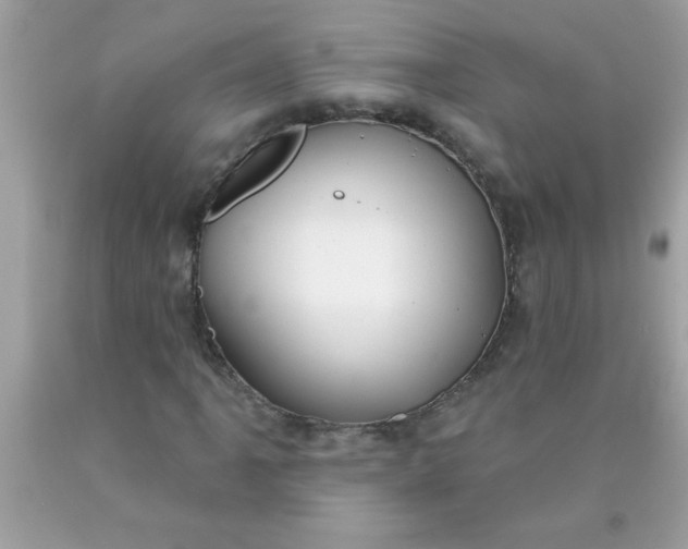 X0000090461061200707272232
