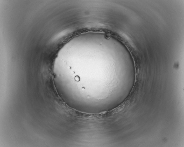 X0000090461063200707272232