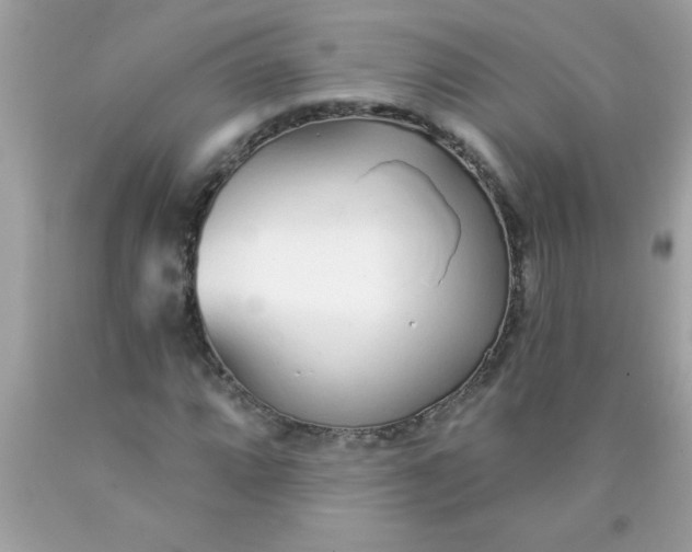 X0000090461064200707272232