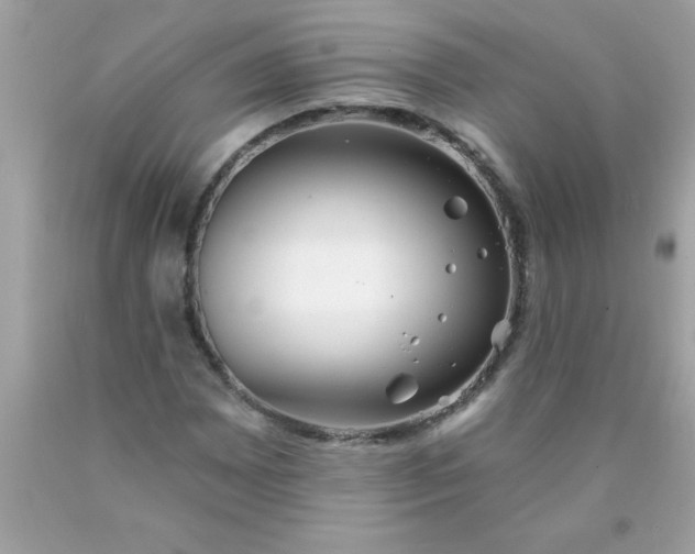 X0000090461065200707272232