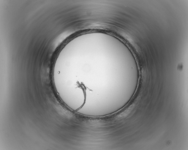 X0000090461066200707272232