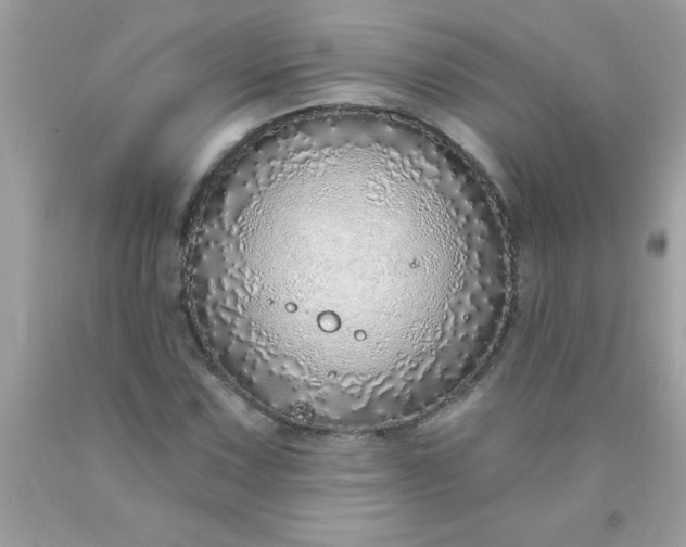 X0000090461067200707272232