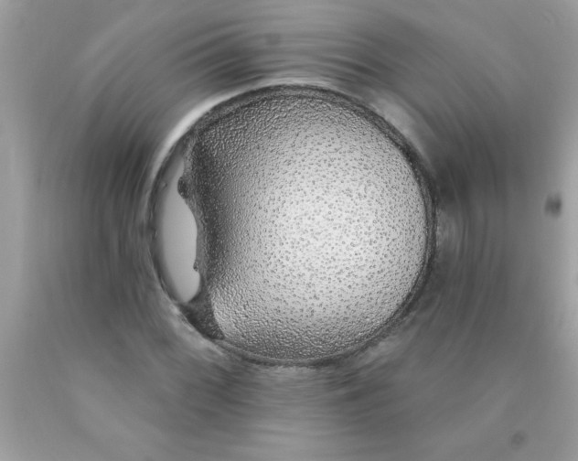 X0000090461068200707272232