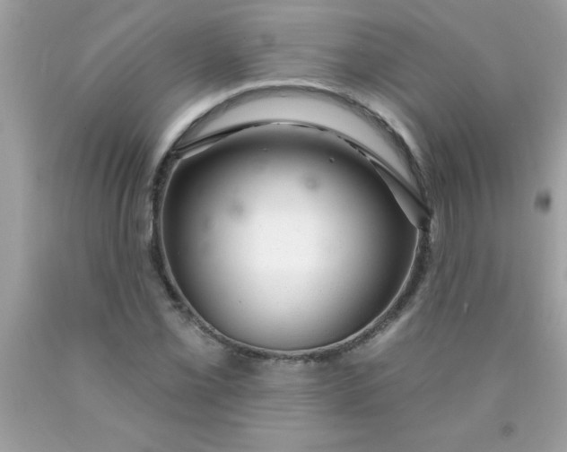 X0000090461069200707272232
